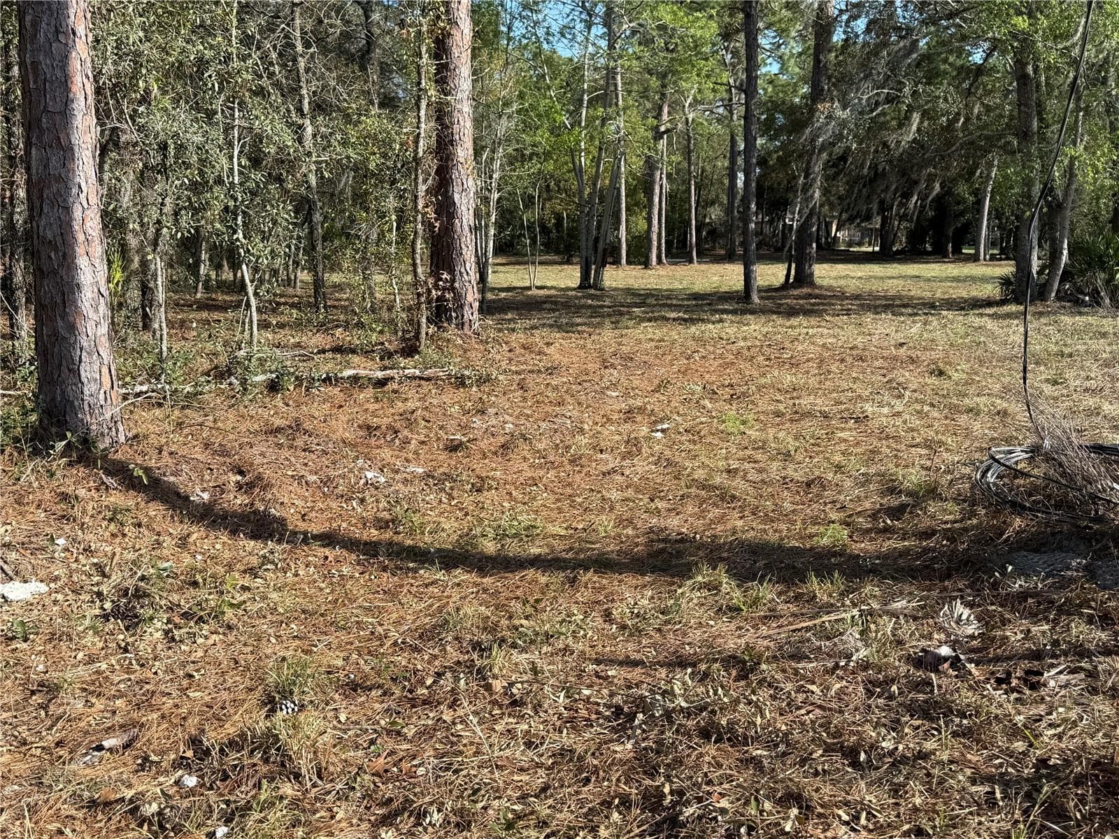 Land at 6479 W HOLIDAY ST, HOMOSASSA, photo 9 of 11