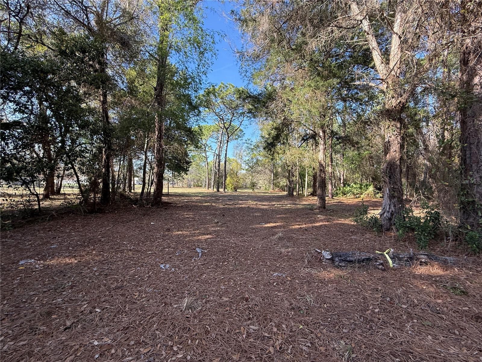 Land at 6479 W HOLIDAY ST, HOMOSASSA, photo 10 of 11