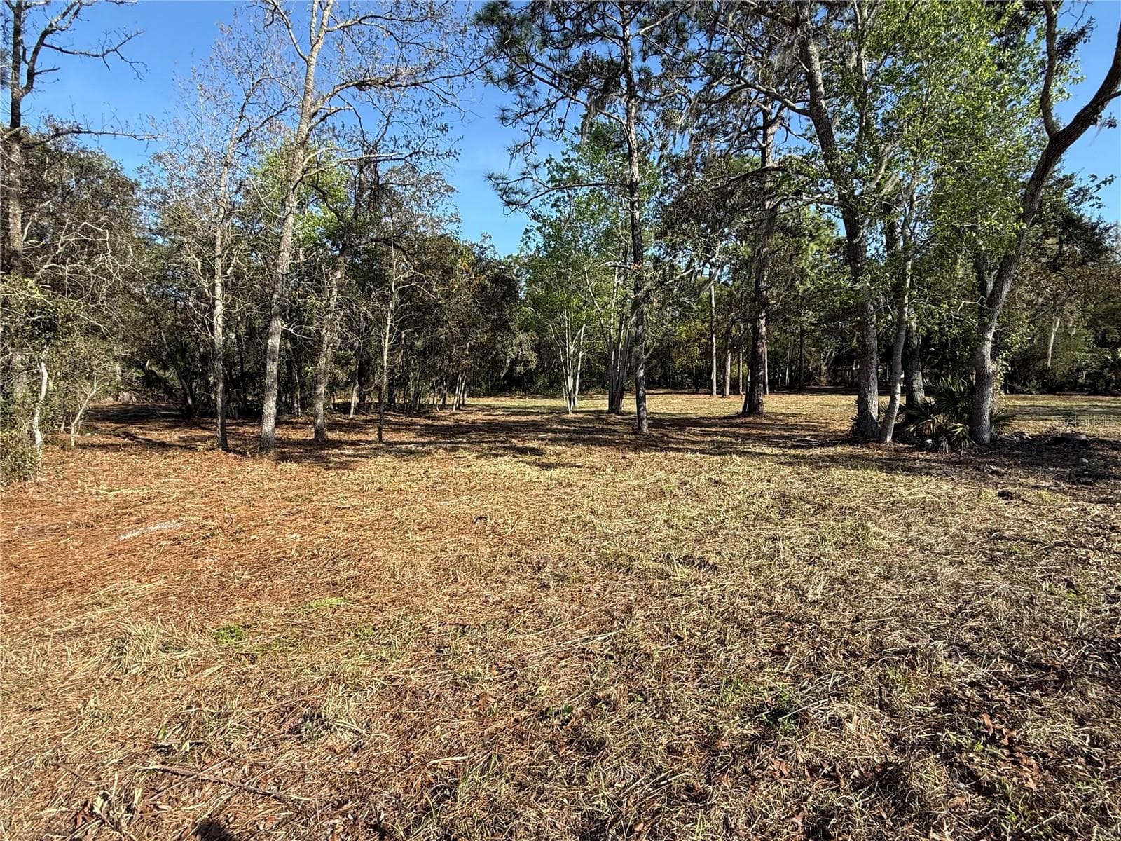 Land at 6479 W HOLIDAY ST, HOMOSASSA, photo 11 of 11