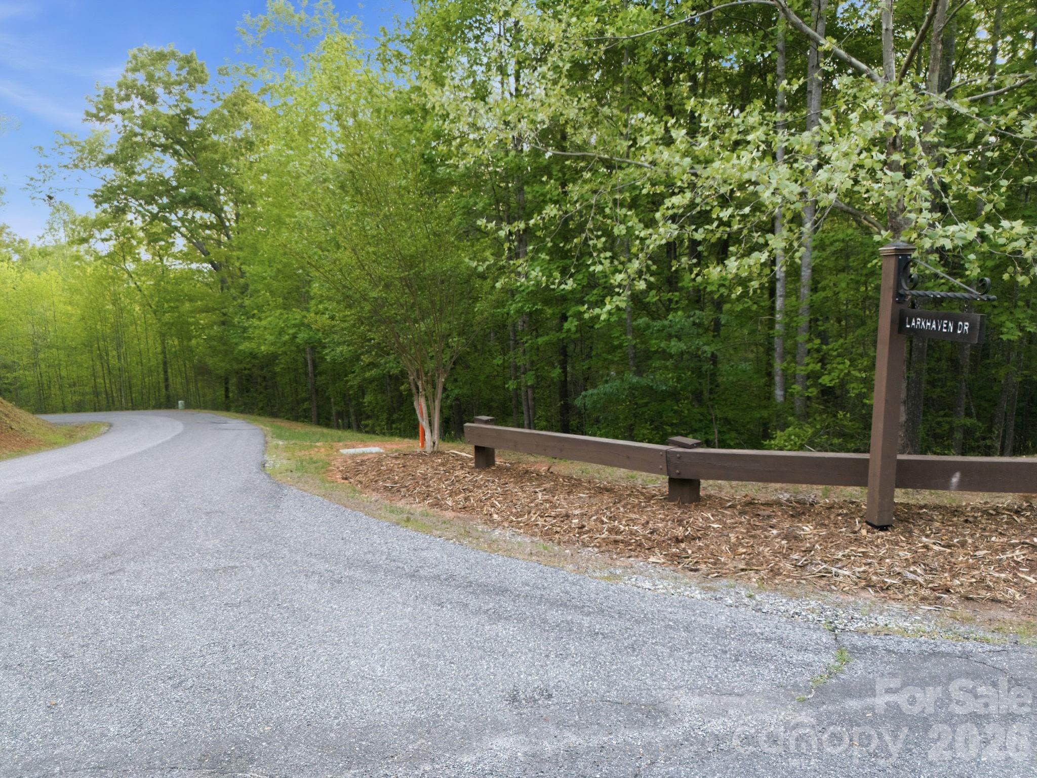 Lot at Nebo, photo 2 of 20