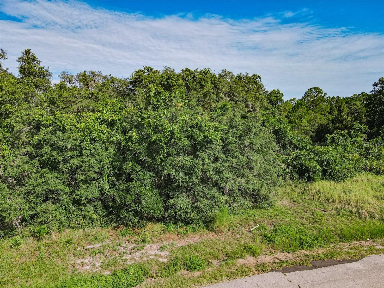 Land at 0 HUDSON VALLEY DR, KISSIMMEE, photo 53 of 92