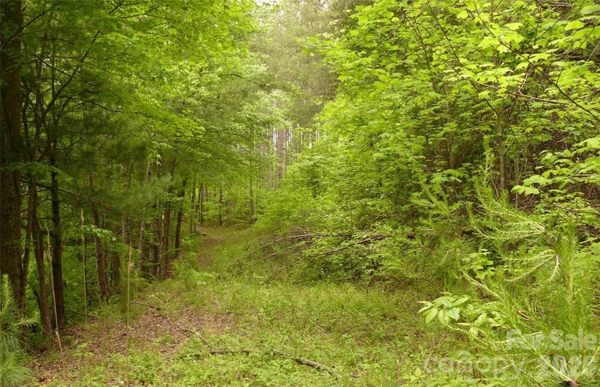 Acreage at Lake Lure, photo 2 of 15