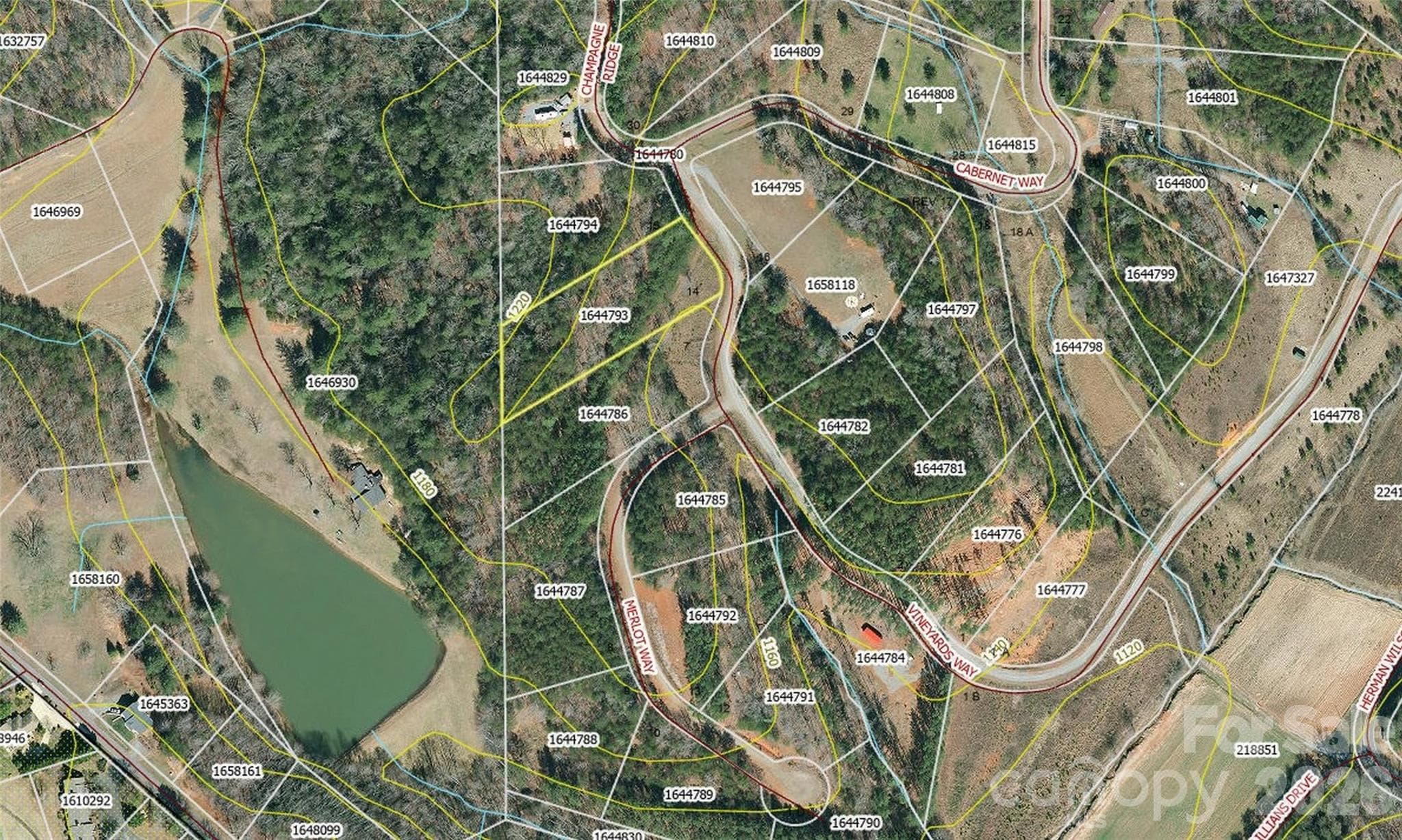 Acreage at Lake Lure, photo 3 of 15