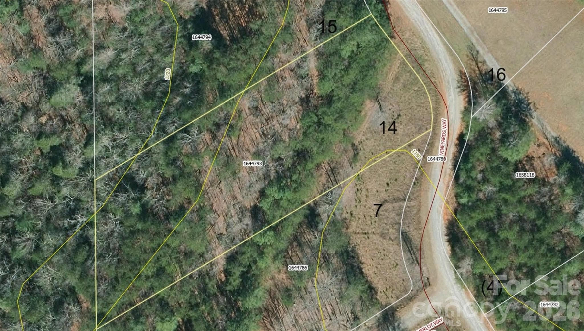 Acreage at Lake Lure, photo 4 of 15