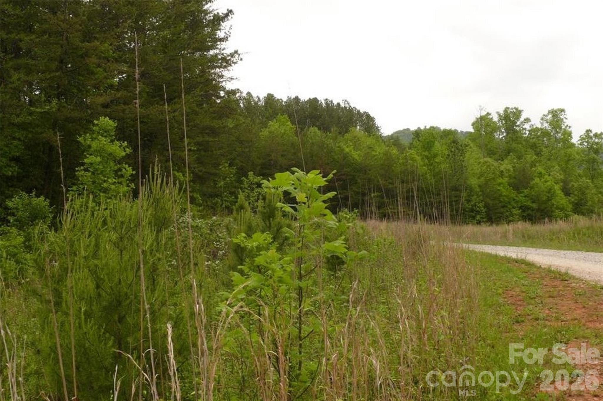 Acreage at Lake Lure, photo 5 of 15
