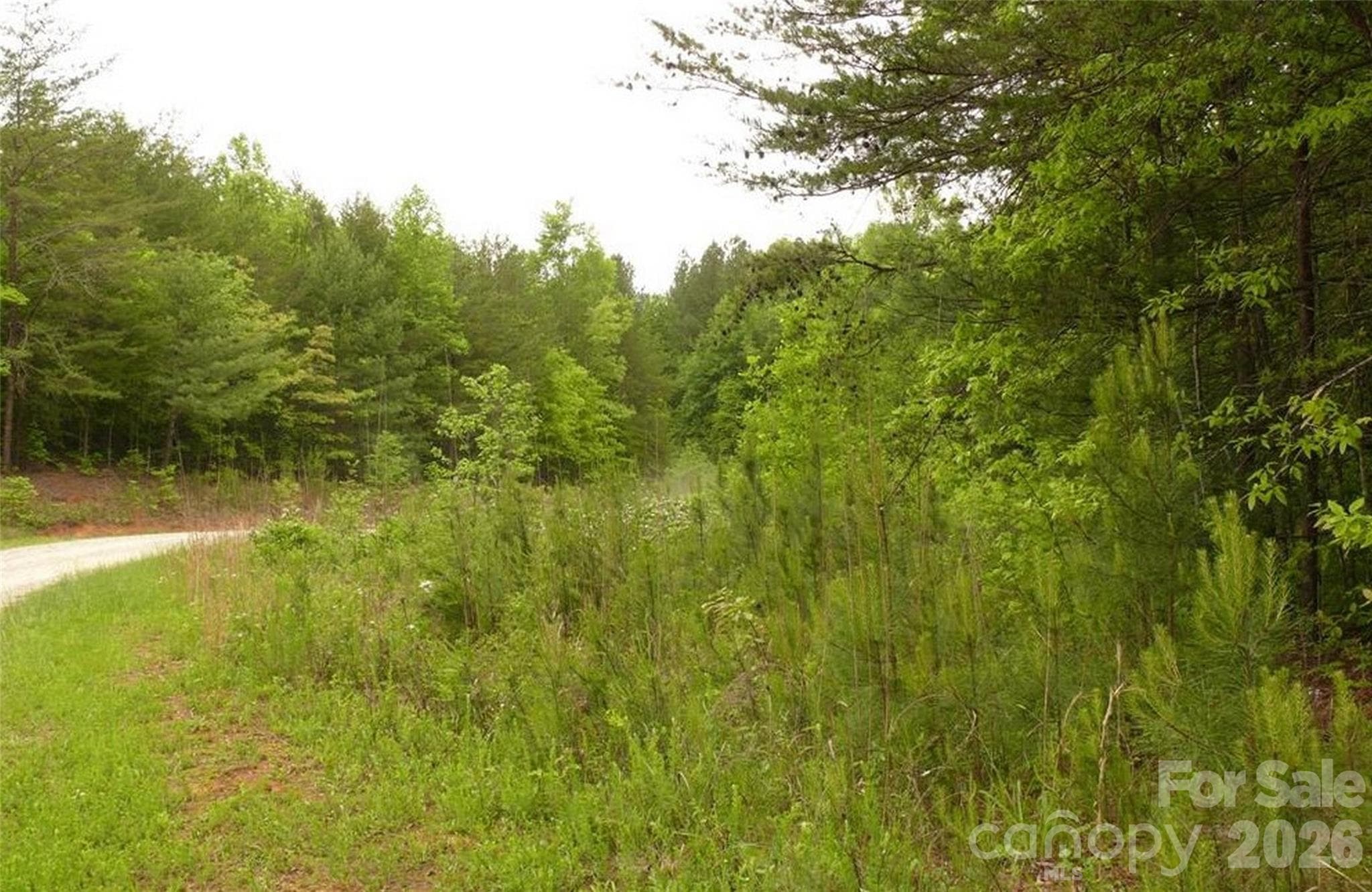 Acreage at Lake Lure, photo 6 of 15