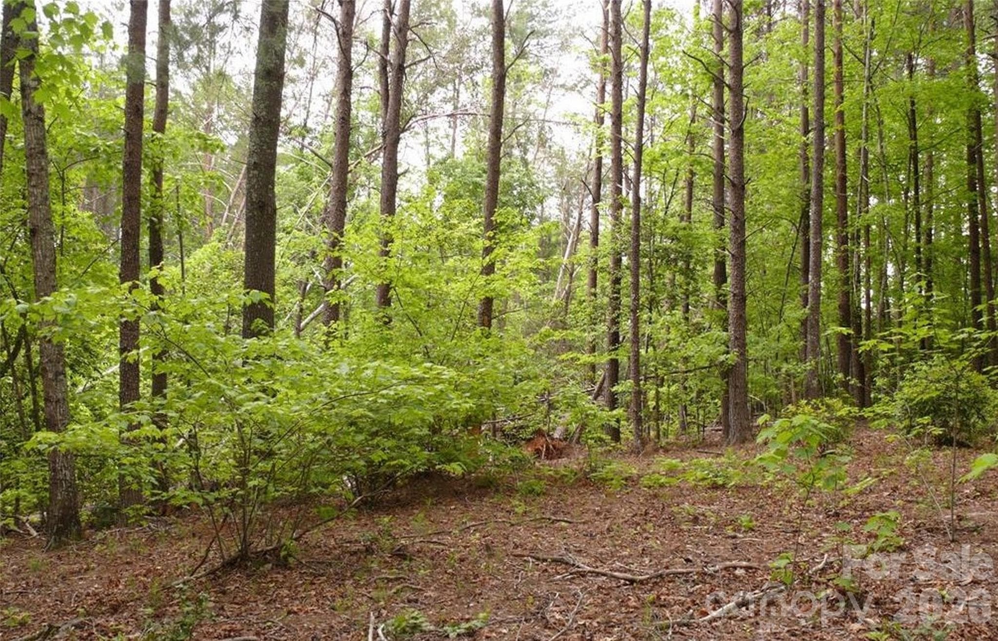 Acreage at Lake Lure, photo 8 of 15