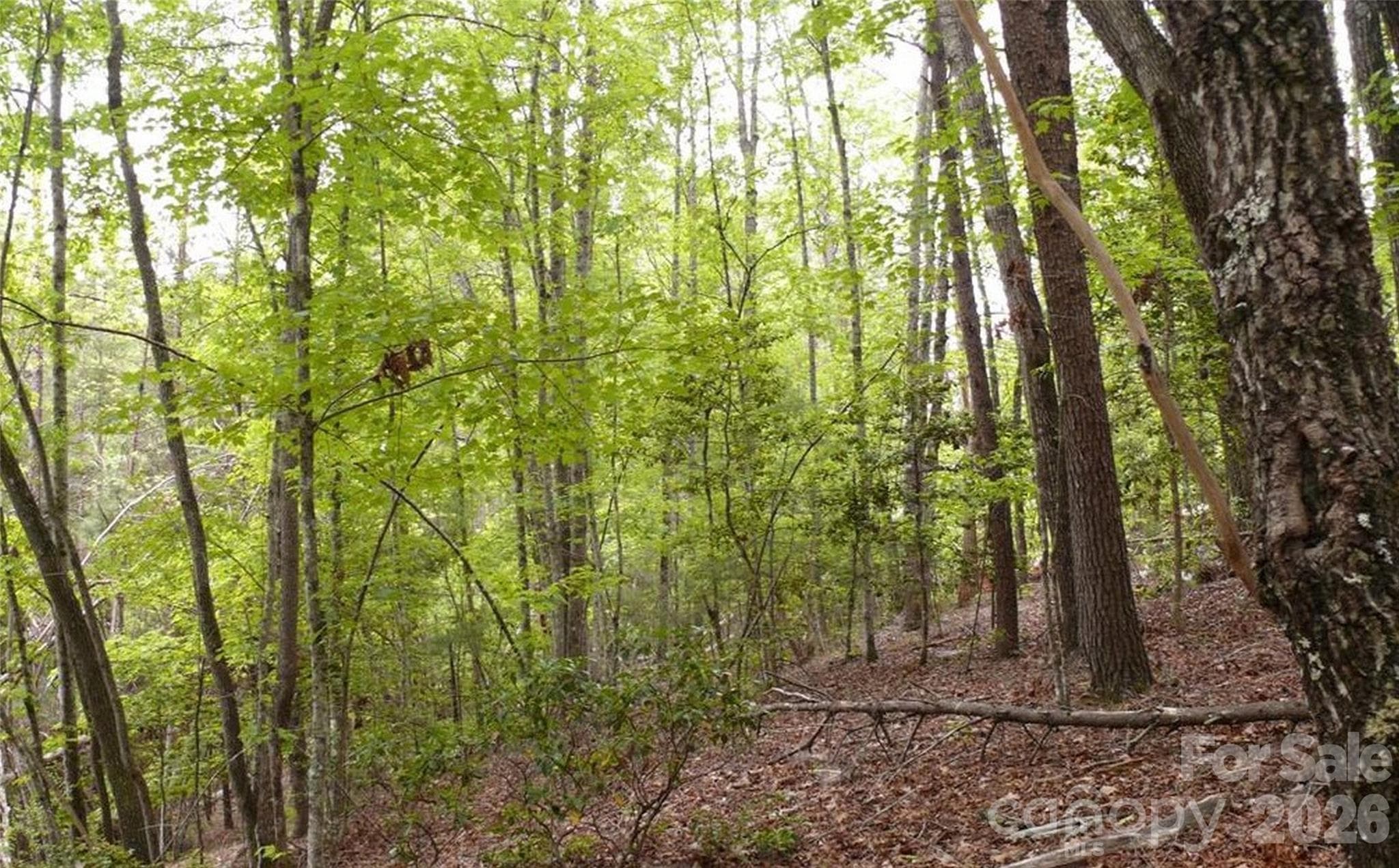 Acreage at Lake Lure, photo 10 of 15