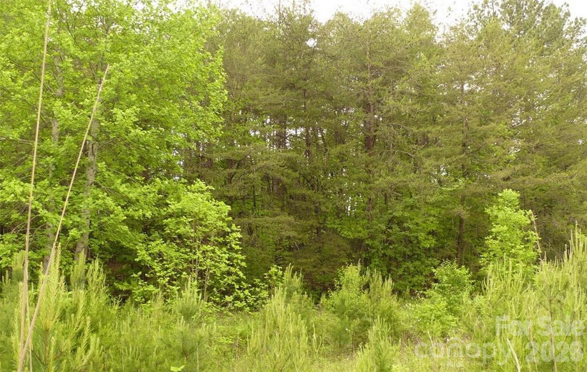 Acreage at Lake Lure, photo 12 of 15