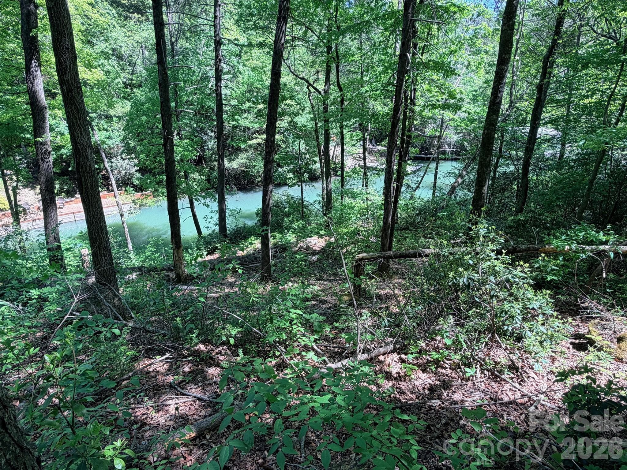 Lot at Lake Lure, photo 2 of 29