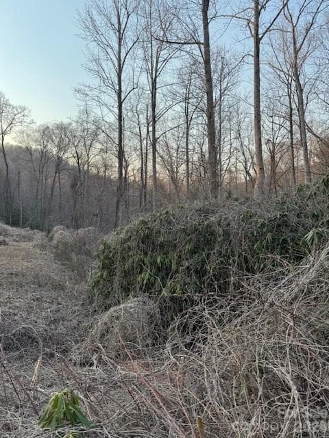 Lot at Black Mountain, photo 4 of 4
