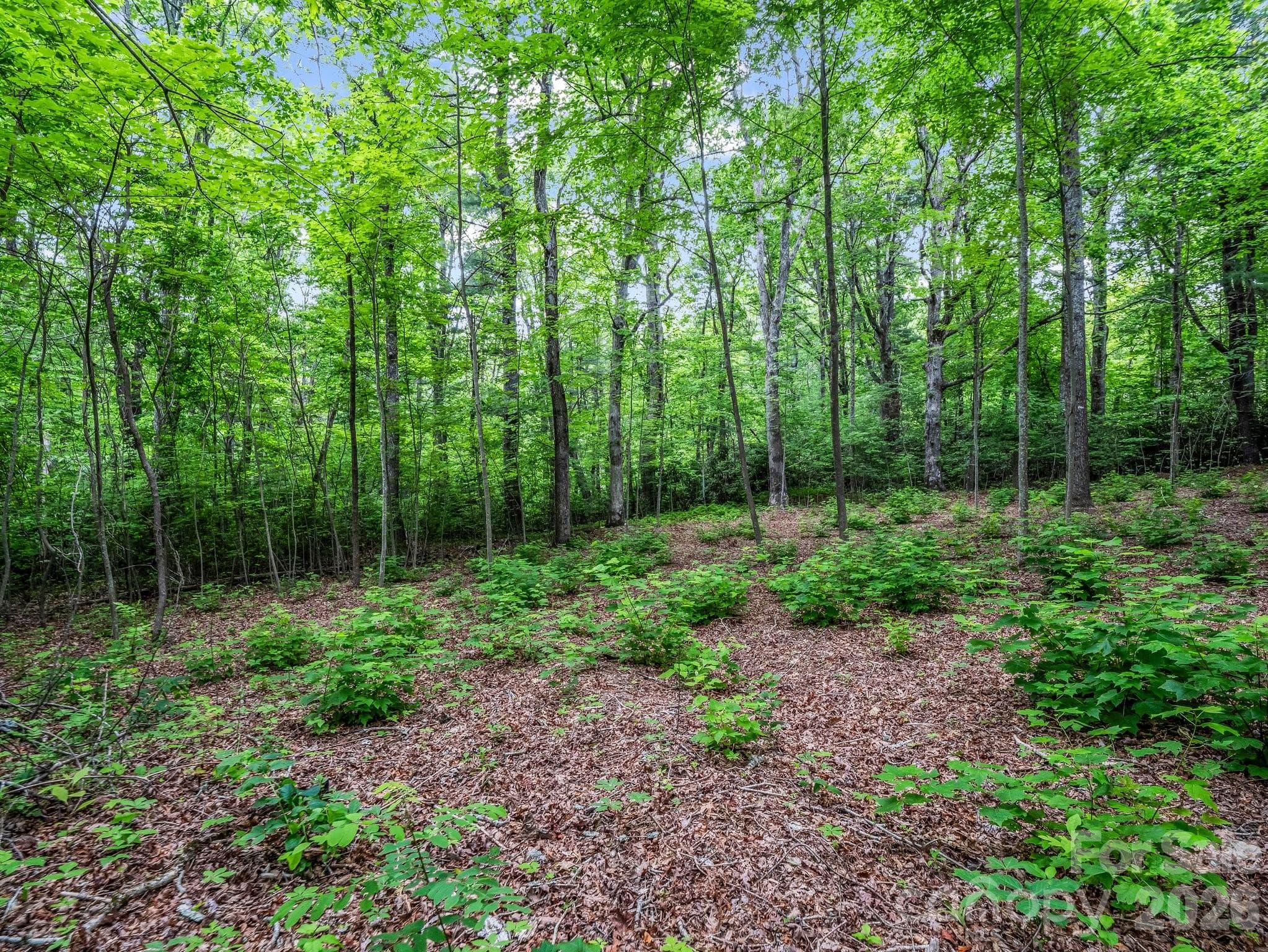 Lot at 168 Tarnhill Drive, Flat Rock, photo 9 of 32