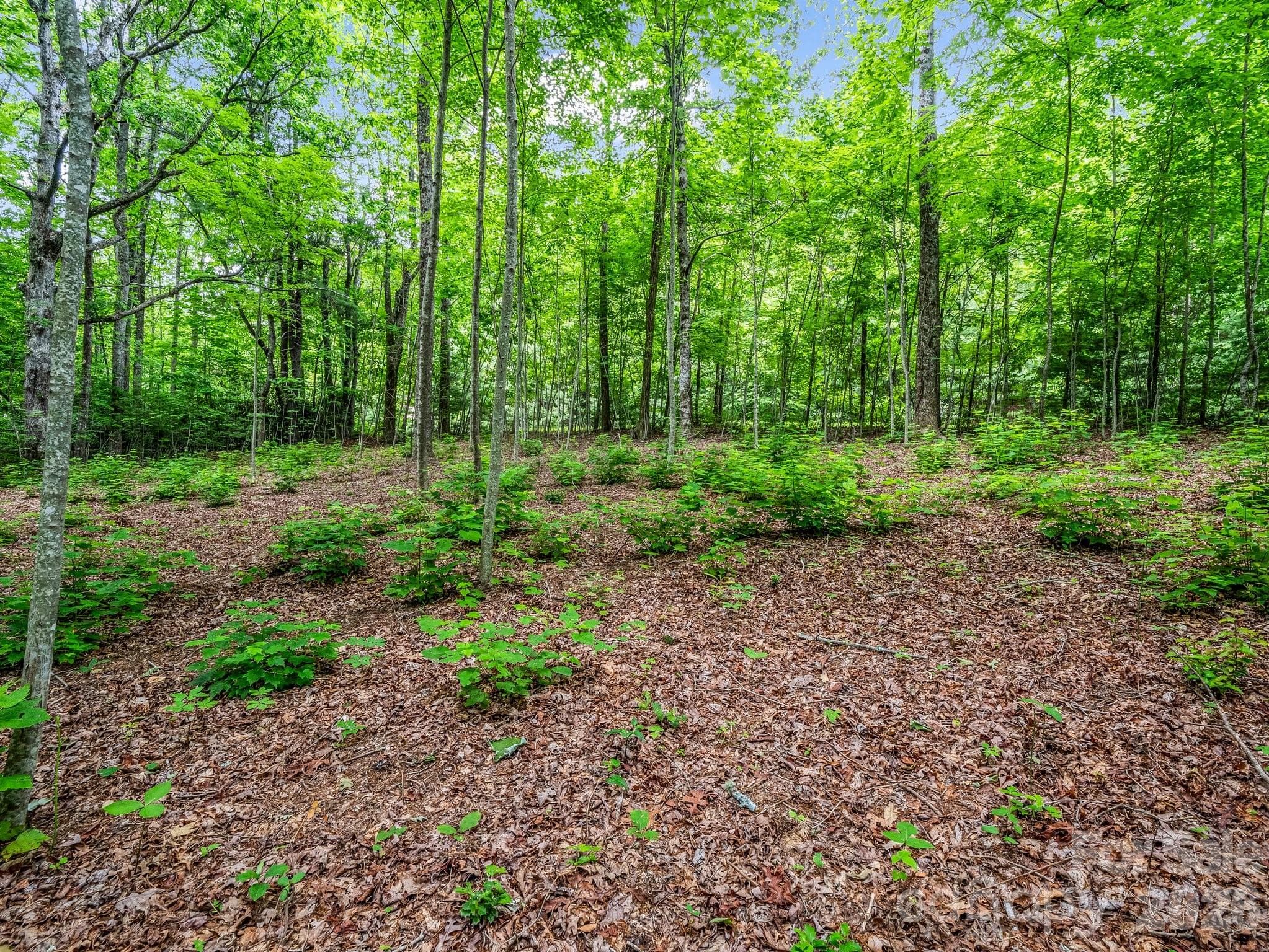 Lot at 168 Tarnhill Drive, Flat Rock, photo 13 of 32