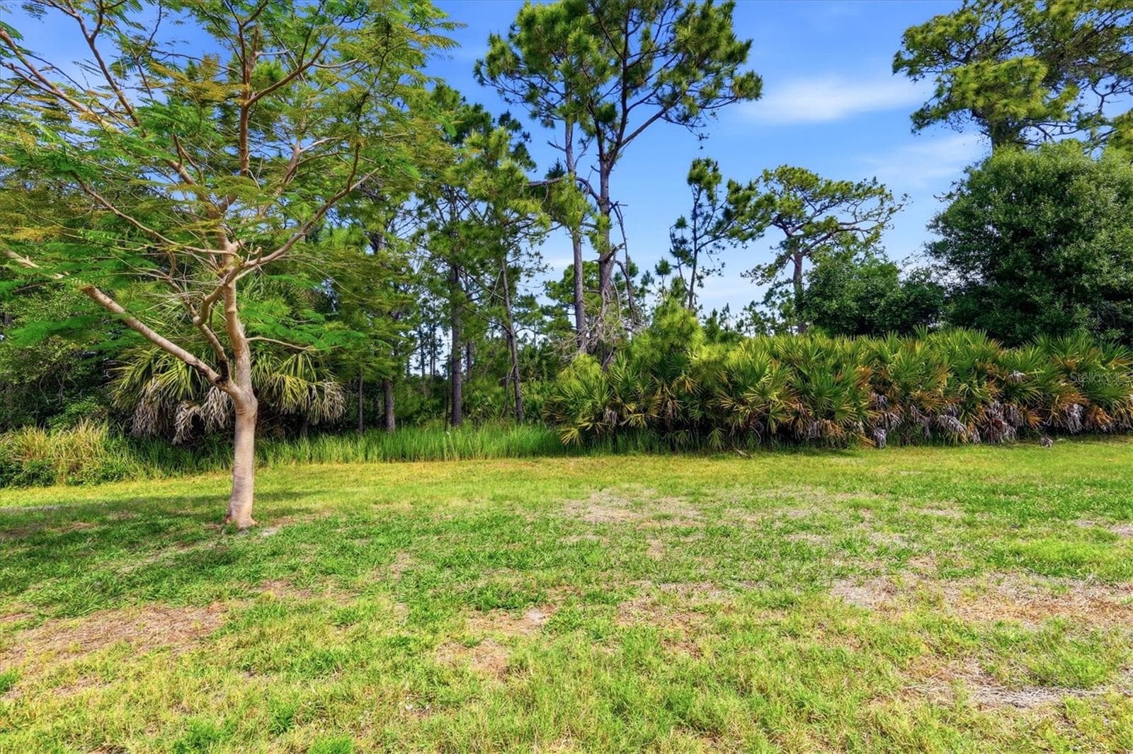 Back Yard - 1528 SCARLETT AVE, NORTH PORT