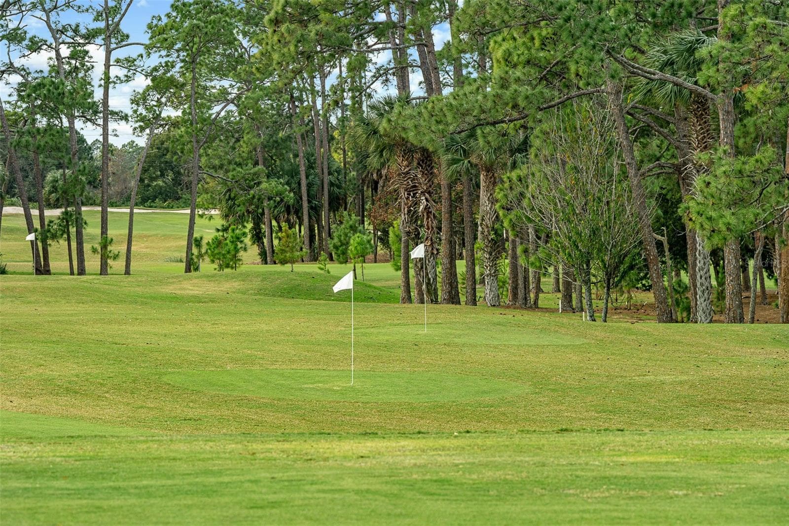 Single Family Residence at 641 WOODBRIDGE DR, ORMOND BEACH, photo 55 of 56