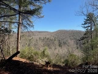 Acreage at 0 GREEN RIVER Road, Zirconia, photo 4 of 27