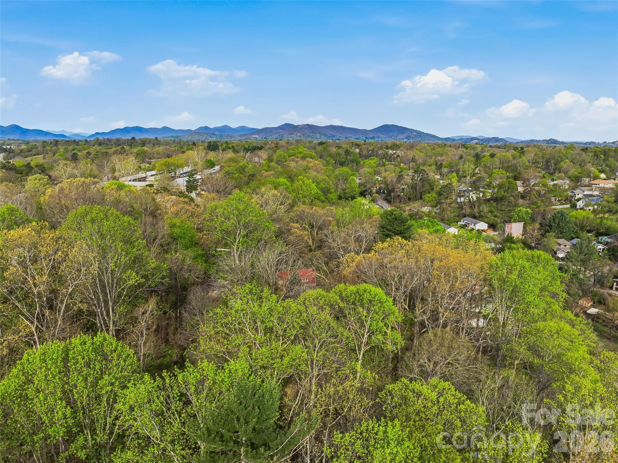 Unimproved Commercial at Asheville, photo 16 of 18