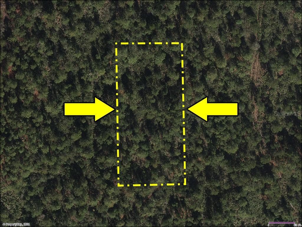 Recreation & Nature: Use the land today to enjoy Florida’s natural beauty—perfect for peaceful nature walks, camping, bird watching, and wildlife observation. As the area matures, the new owner can engage with the County to explore future improvements and infrastructure for this high-growth corridor. - Vacant Land on INTERNATIONAL DR S, ORLANDO