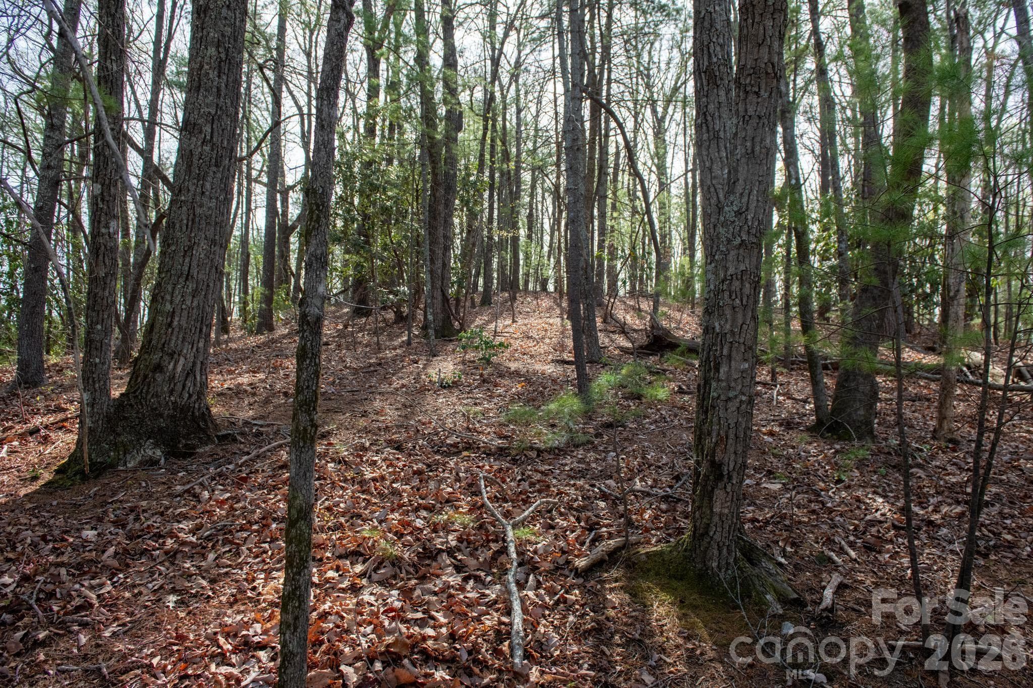 Acreage at Lenoir, photo 10 of 14