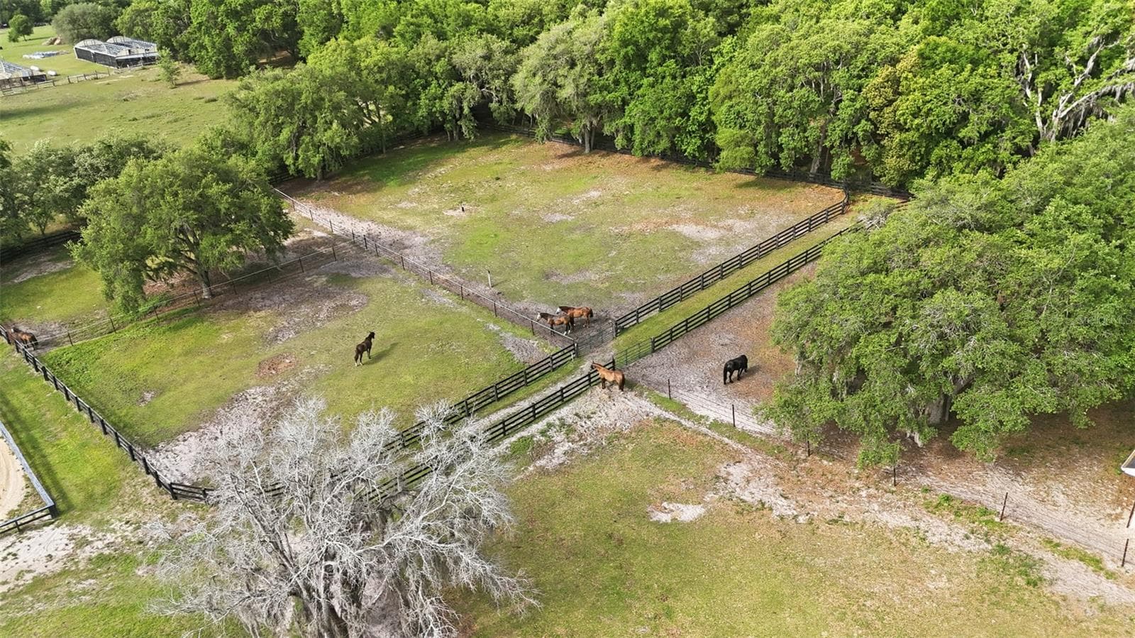 Land at 2020 HAAS RD, APOPKA, photo 65 of 67