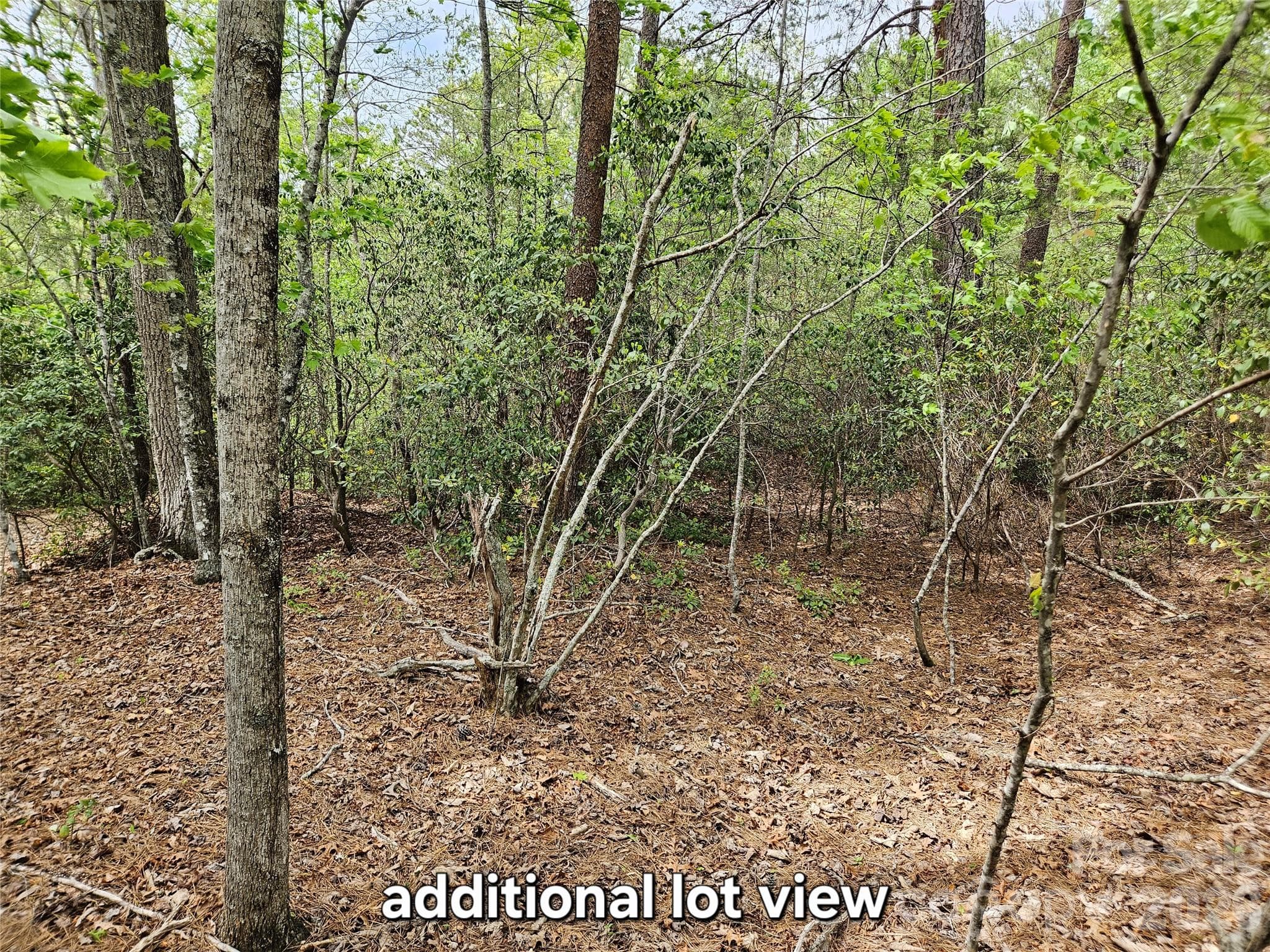 Lot at Nebo, photo 2 of 47