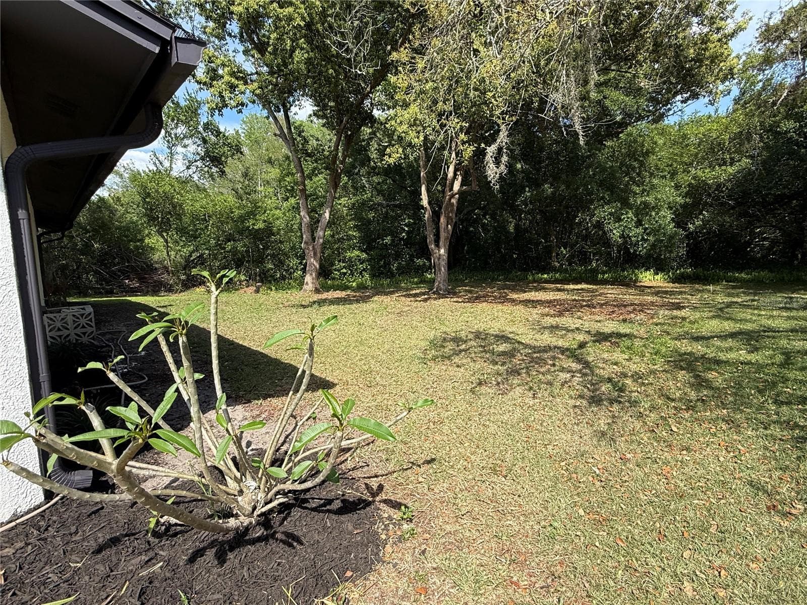 Single Family Residence at 10501 HARDWOOD CT, PORT RICHEY, photo 30 of 58