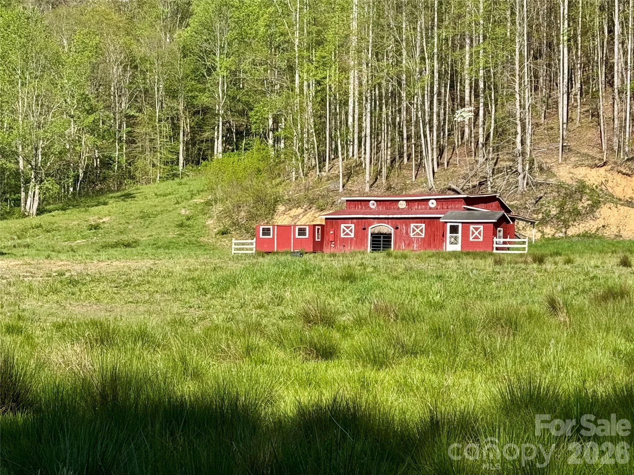 Acreage at 0 Odoms Chapel Road, Bakersville, photo 23 of 23