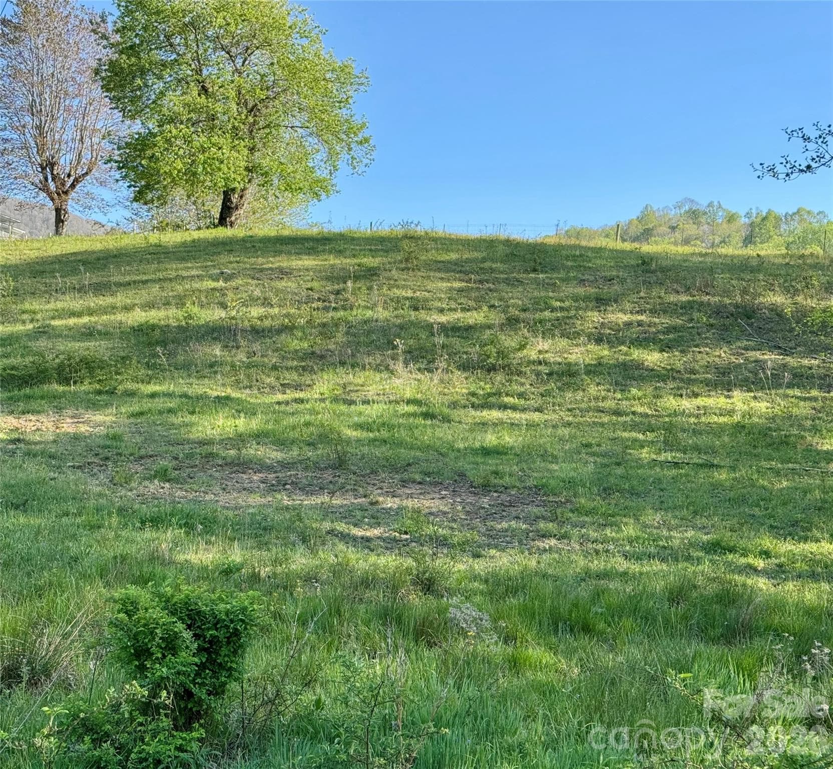 Acreage at 0 Odoms Chapel Road, Bakersville, photo 10 of 23