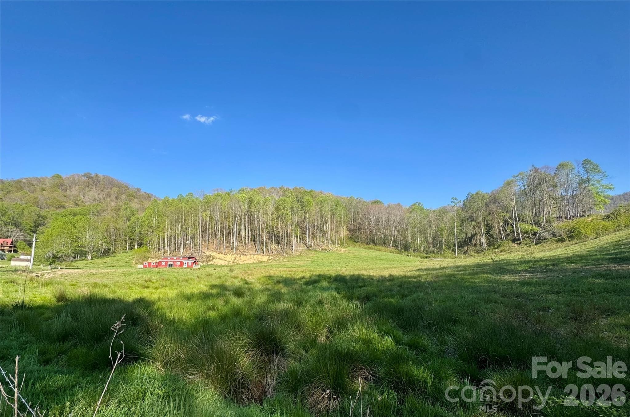 Acreage at 0 Odoms Chapel Road, Bakersville, photo 11 of 23