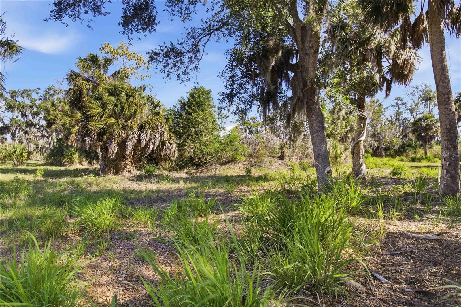 Land at 1910 KENNEDY CT, TERRA CEIA, photo 18 of 19