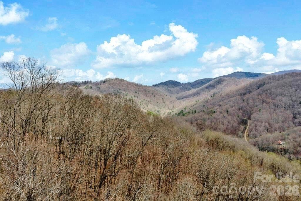 Acreage at TBD Buckeye Road, Elk Park, photo 3 of 10