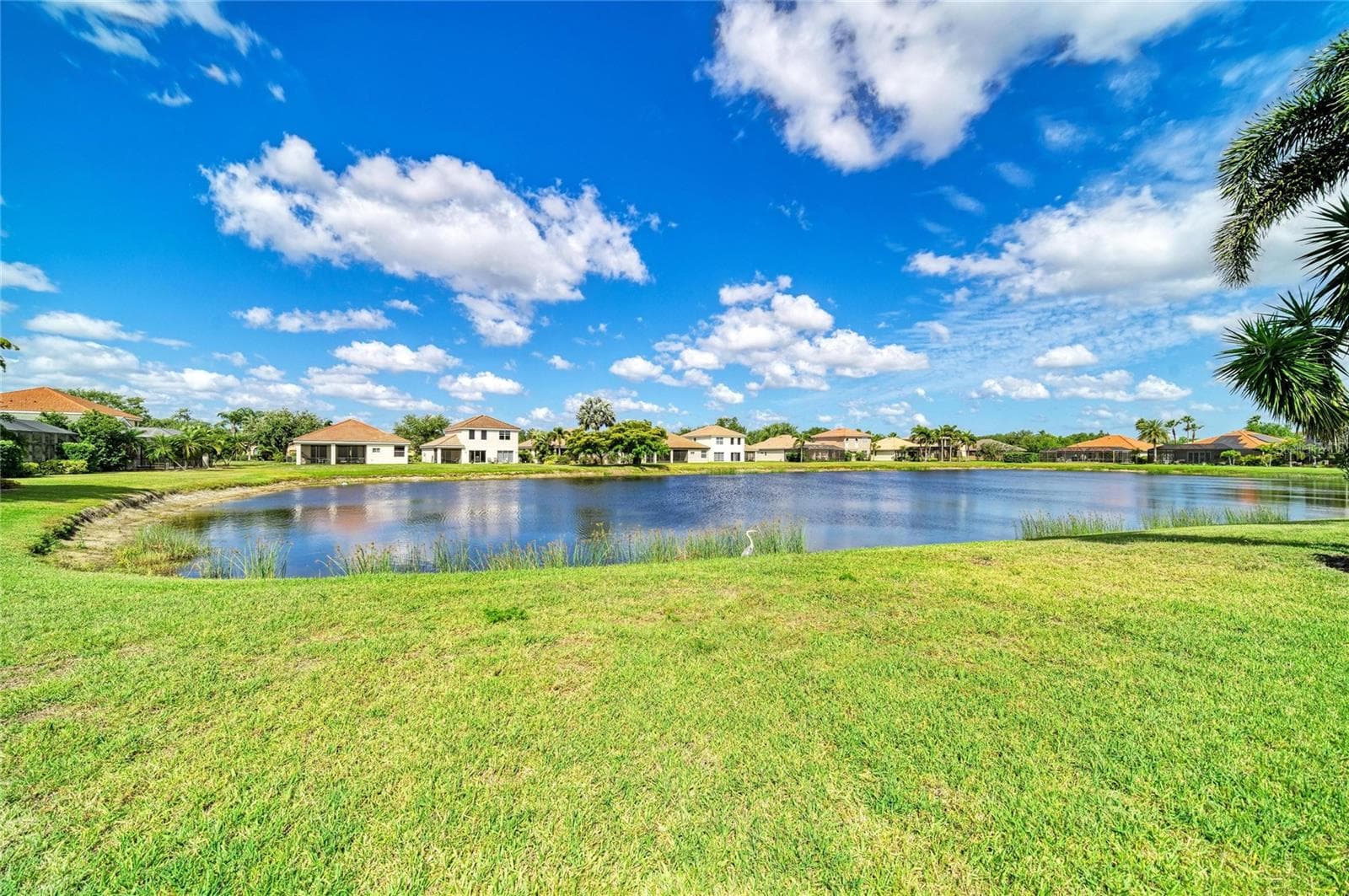 Single Family Residence at 9035 WILLOWBROOK CIR, BRADENTON, photo 41 of 56