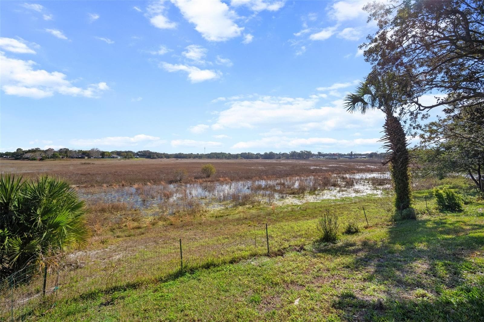 Hog Pond - 1472 IVYDALE RD, SPRING HILL