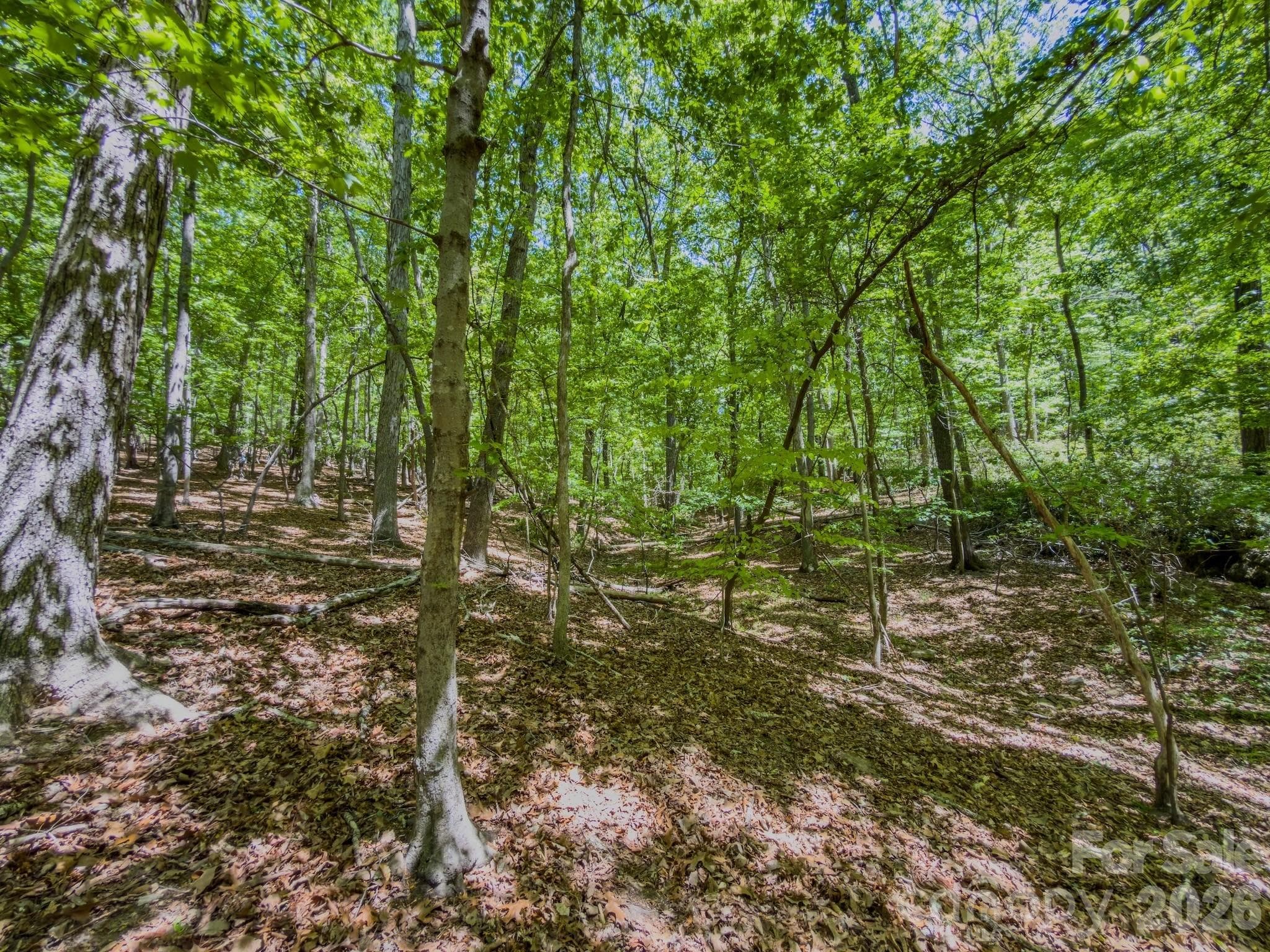 Acreage at 0 Sunset Drive N, Asheboro, photo 5 of 48