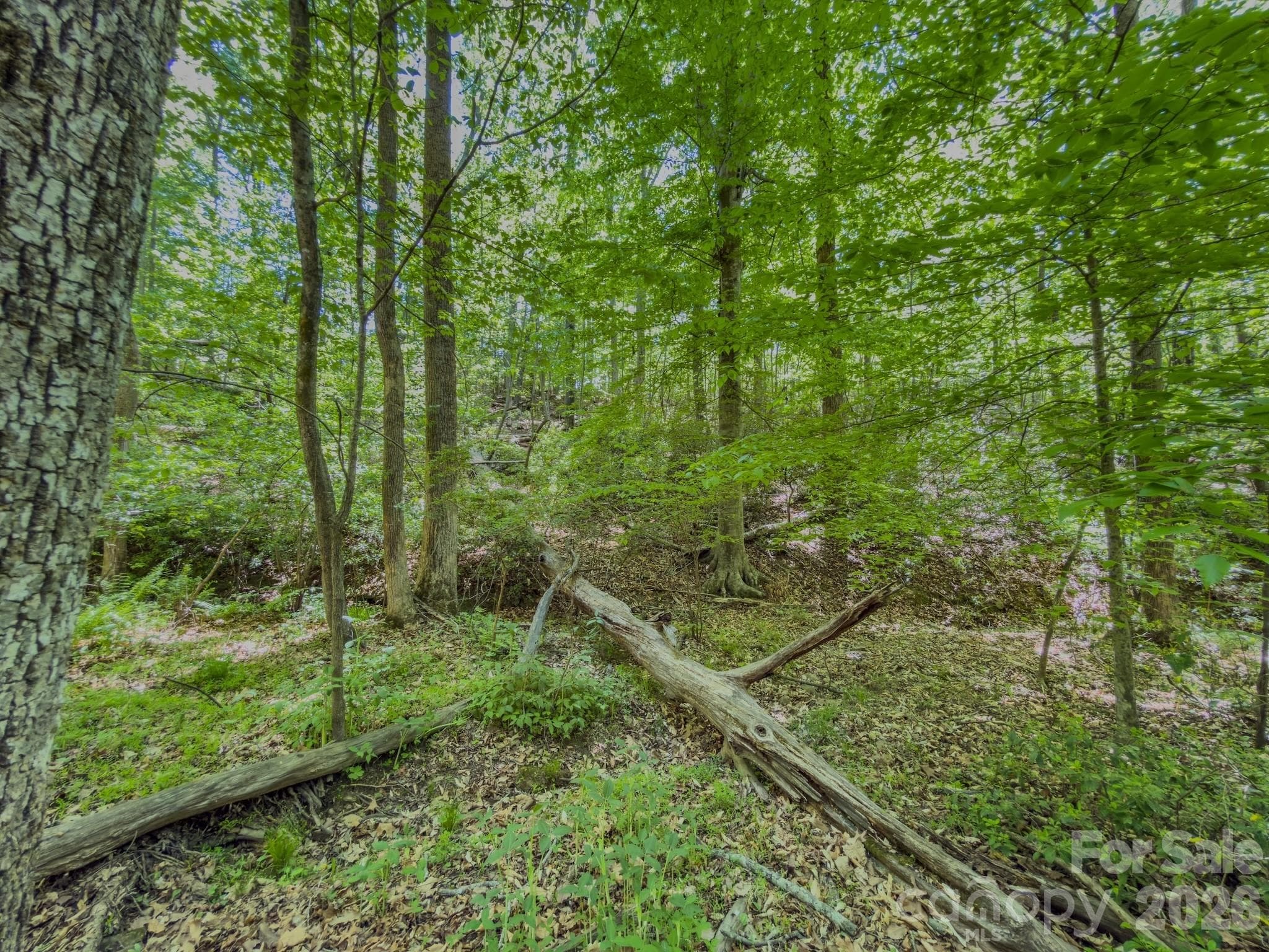 Acreage at 0 Sunset Drive N, Asheboro, photo 8 of 48