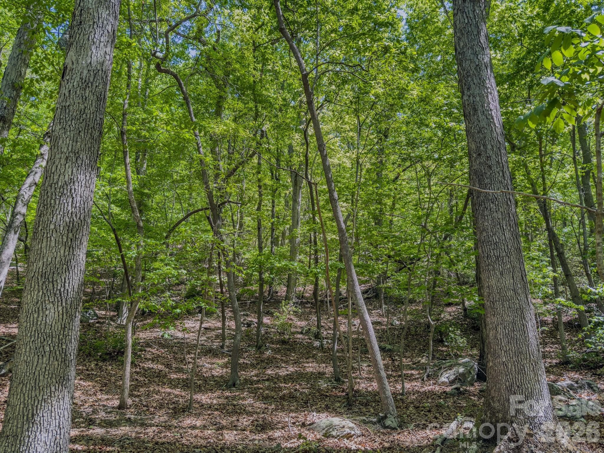 Acreage at 0 Sunset Drive N, Asheboro, photo 26 of 48