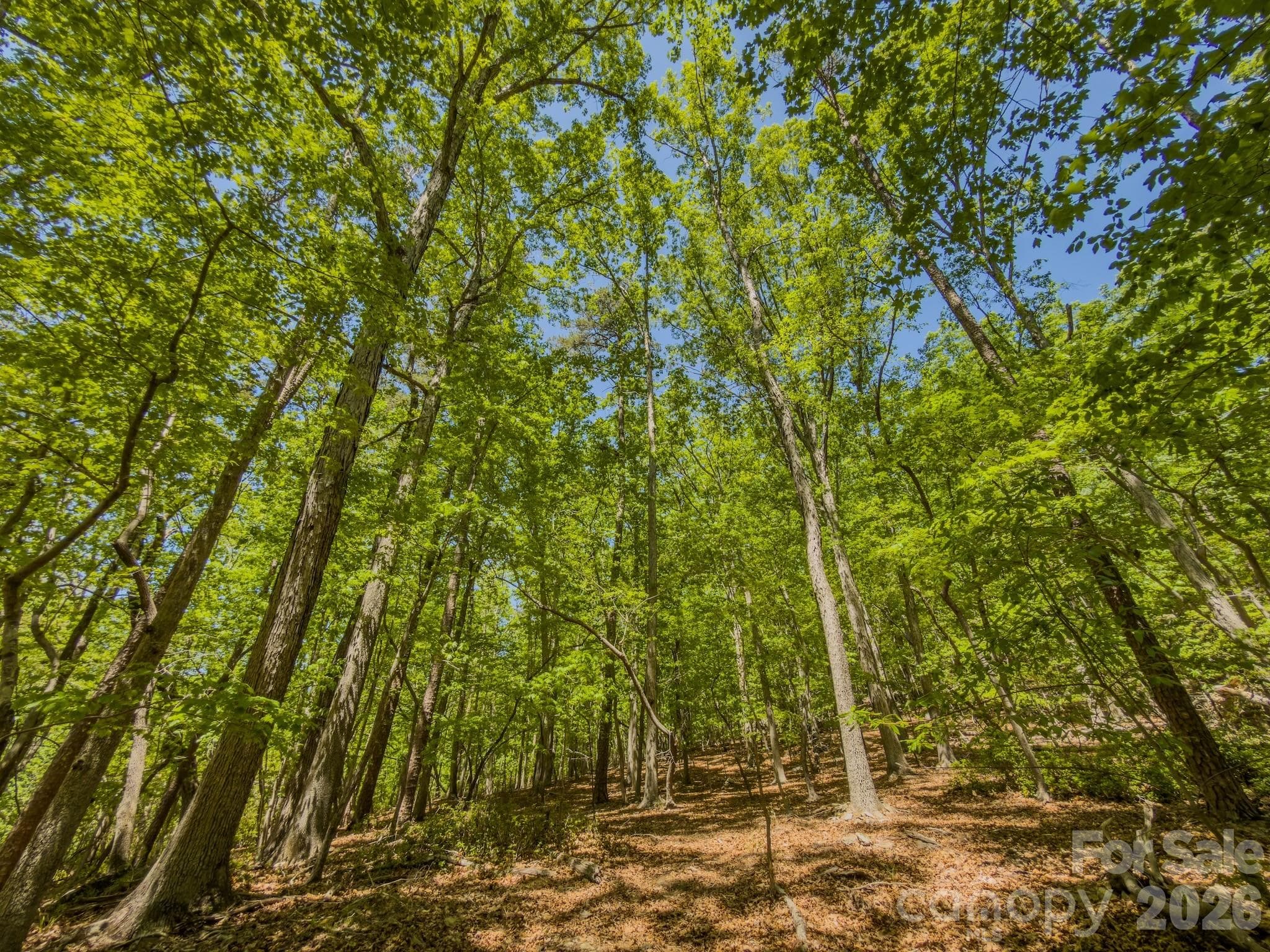 Acreage at 0 Sunset Drive N, Asheboro, photo 32 of 48
