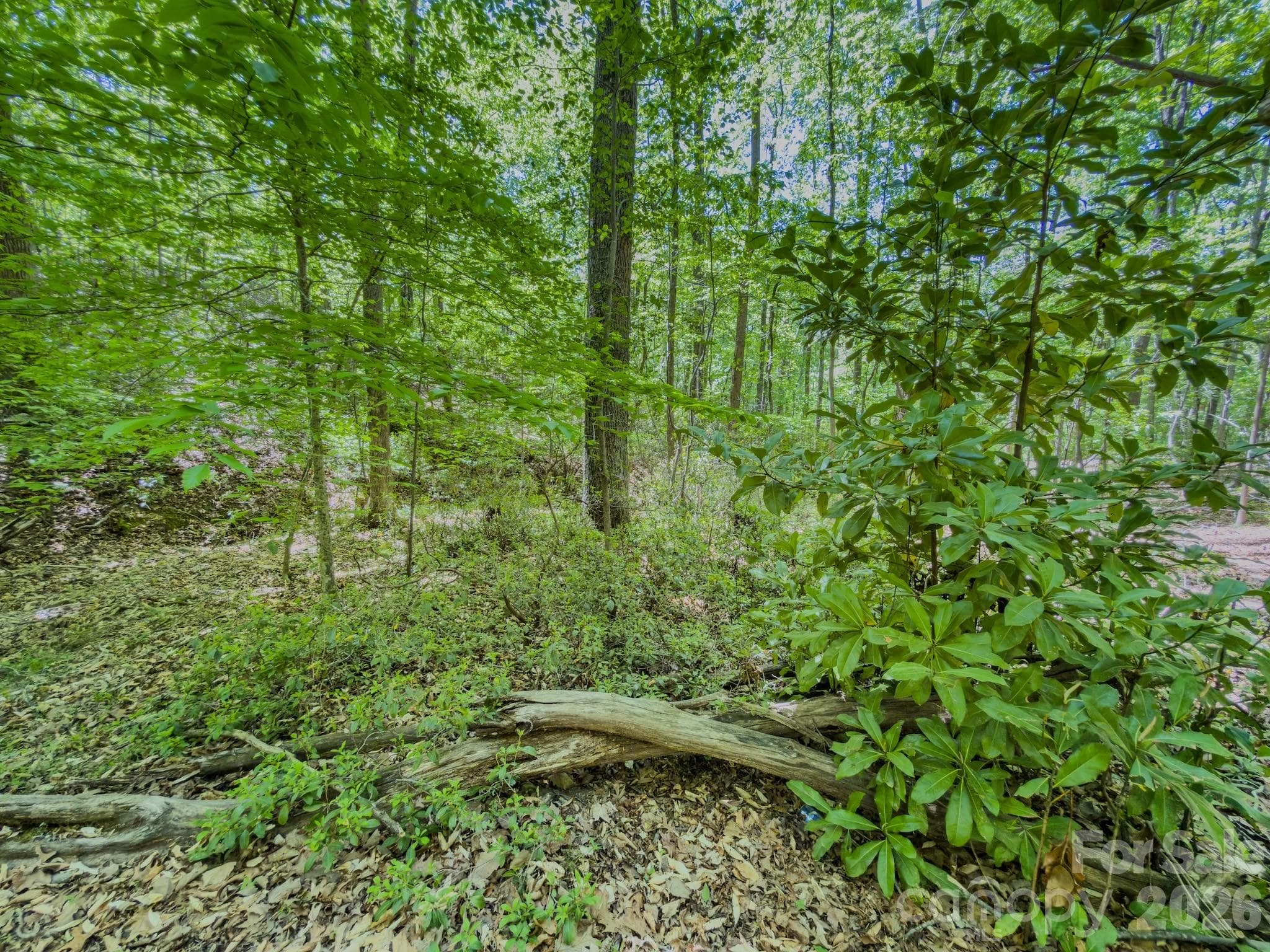 Acreage at 0 Sunset Drive N, Asheboro, photo 33 of 48