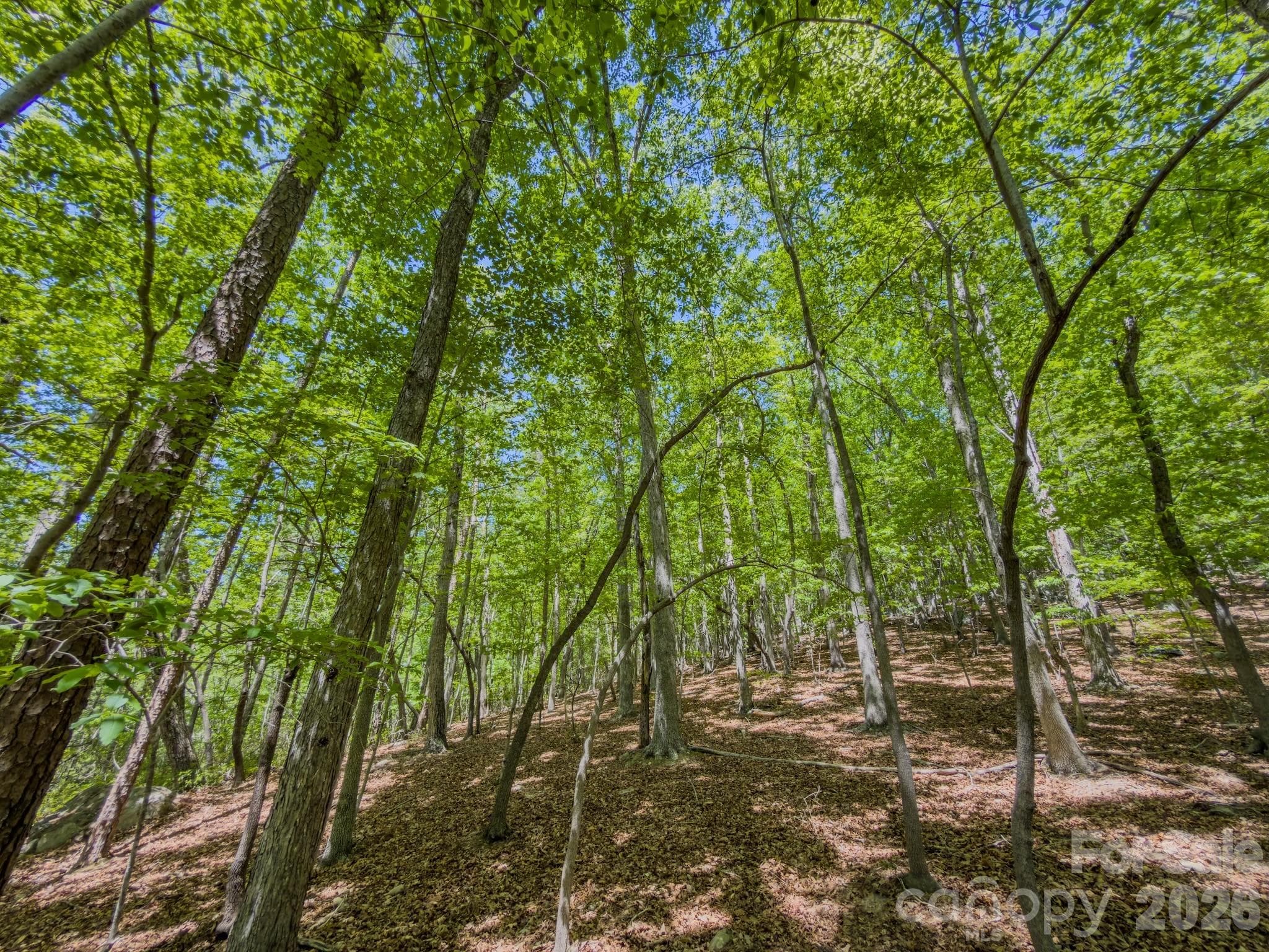 Acreage at 0 Sunset Drive N, Asheboro, photo 41 of 48