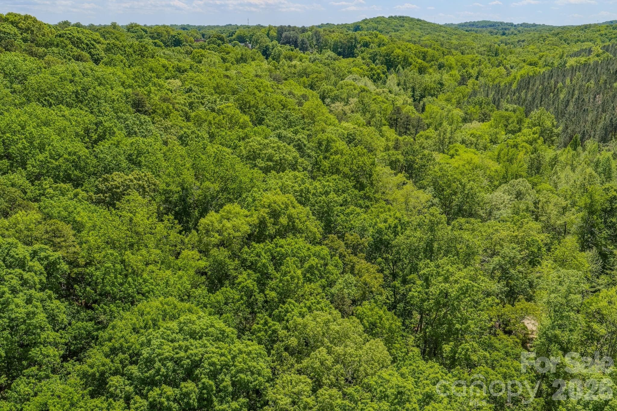 Acreage at 0 Sunset Drive N, Asheboro, photo 44 of 48