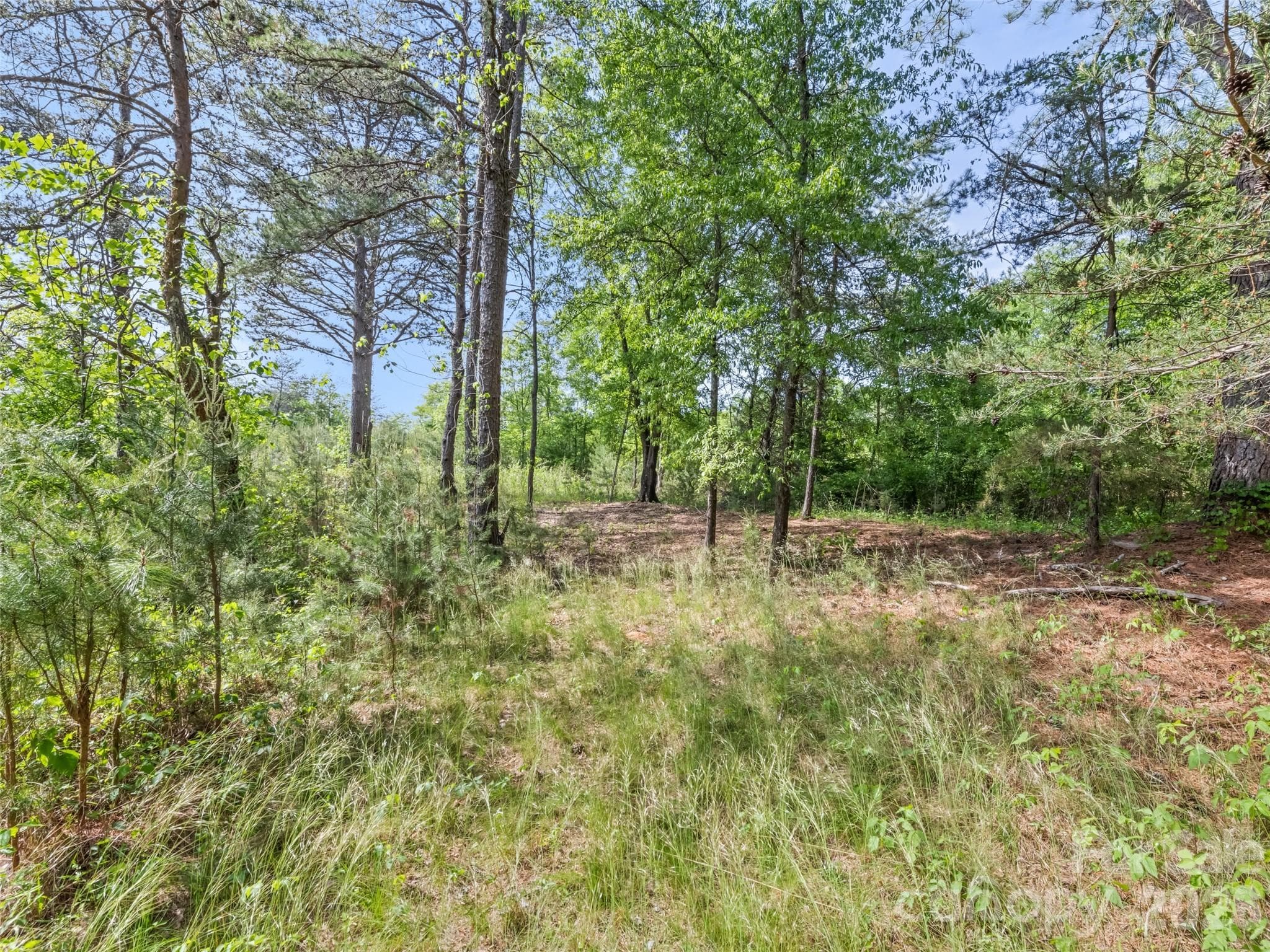 Single Family Residence at 311 Soco Gap Road, Ellenboro, photo 10 of 24