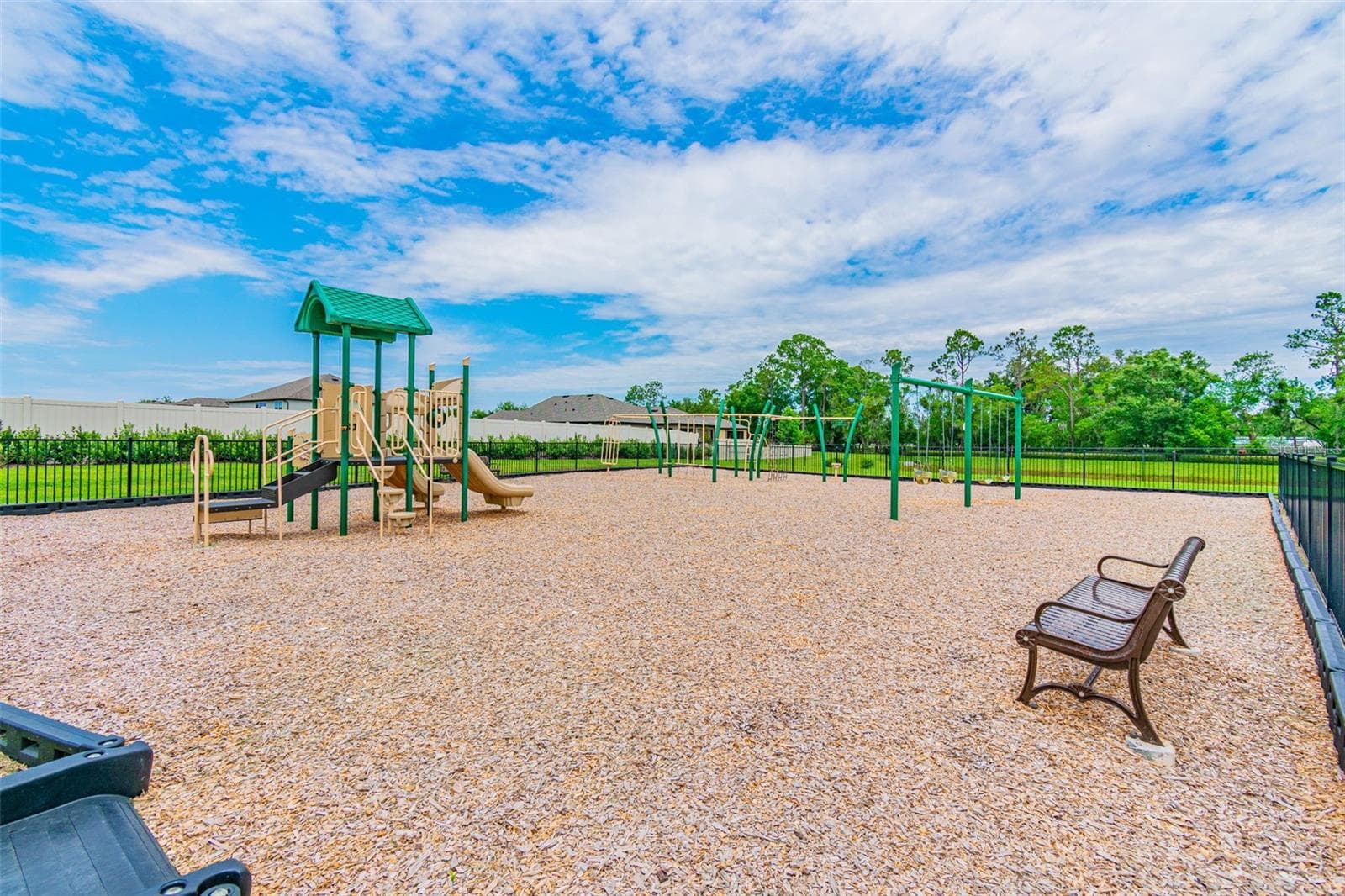 Single Family Residence at 17647 CORTES CREEK BLVD, SPRING HILL, photo 99 of 100