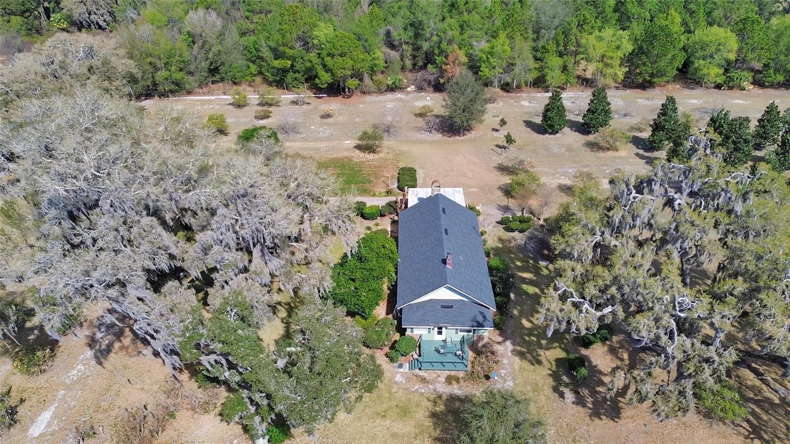 View looking North - 1403 BLACKWELDER RD, DE LEON SPRINGS