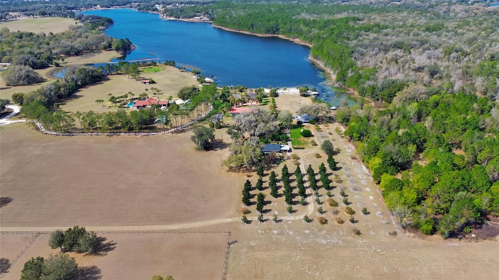 View looking West - 1403 BLACKWELDER RD, DE LEON SPRINGS