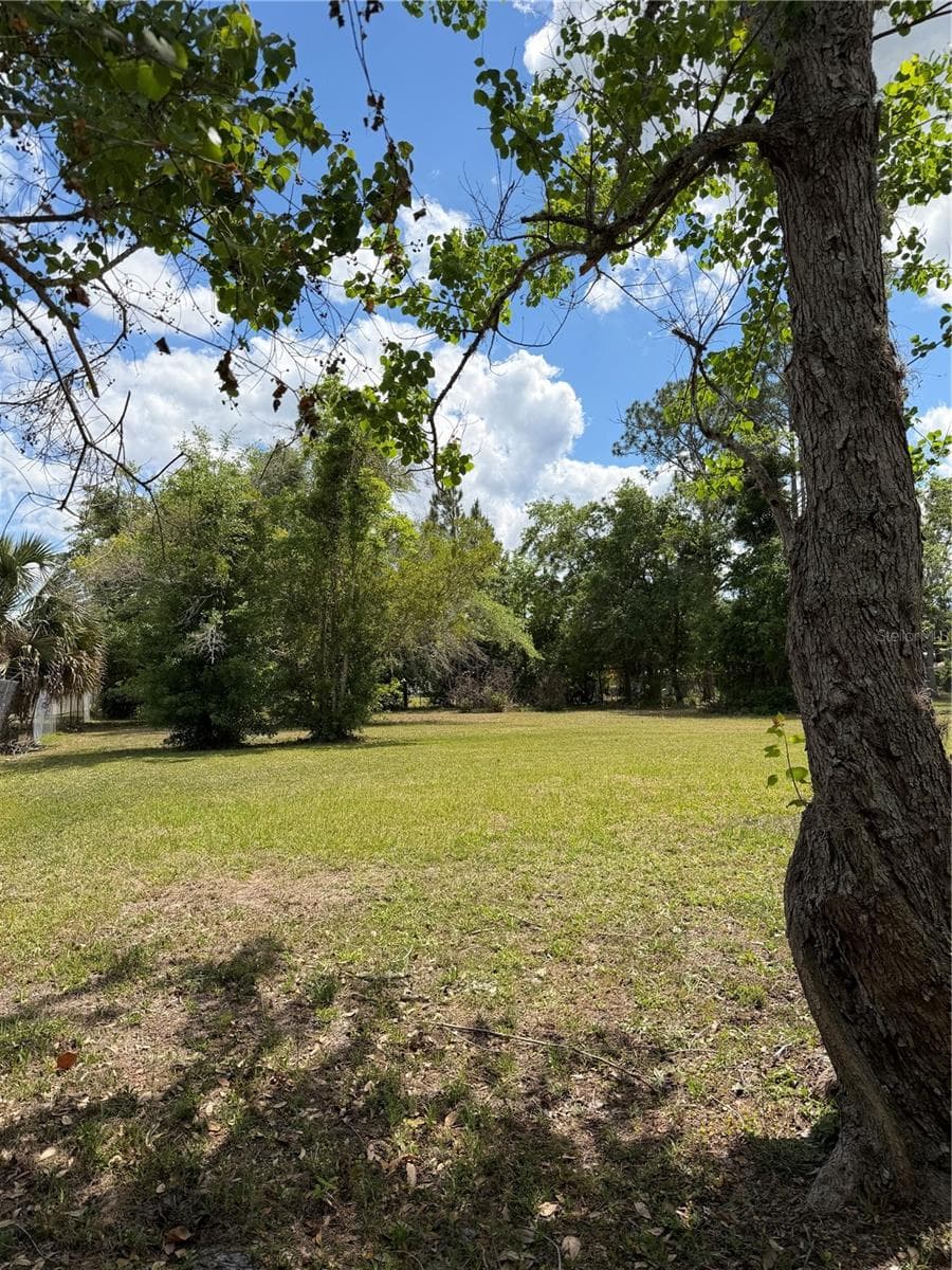 Mobile Home at 24138 PANTHER RD, ASTOR, photo 24 of 49