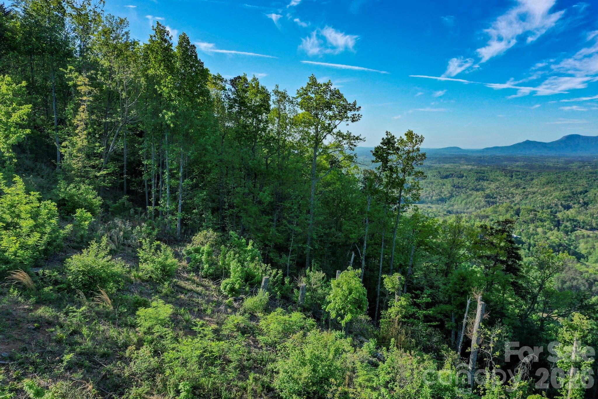 Lot at 000 Golden Ridge Drive, Lake Lure, photo 4 of 18