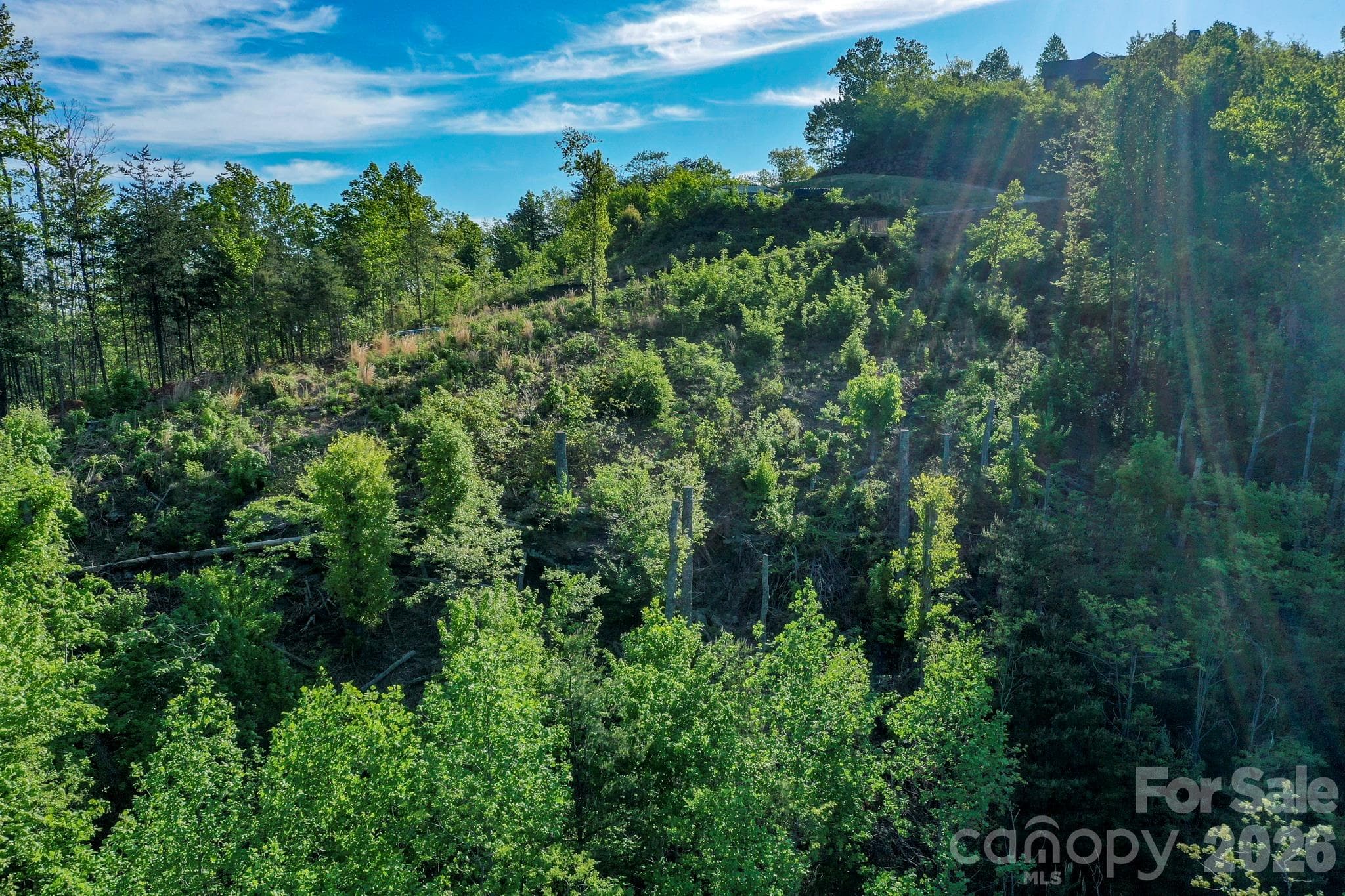 Lot at 000 Golden Ridge Drive, Lake Lure, photo 6 of 18