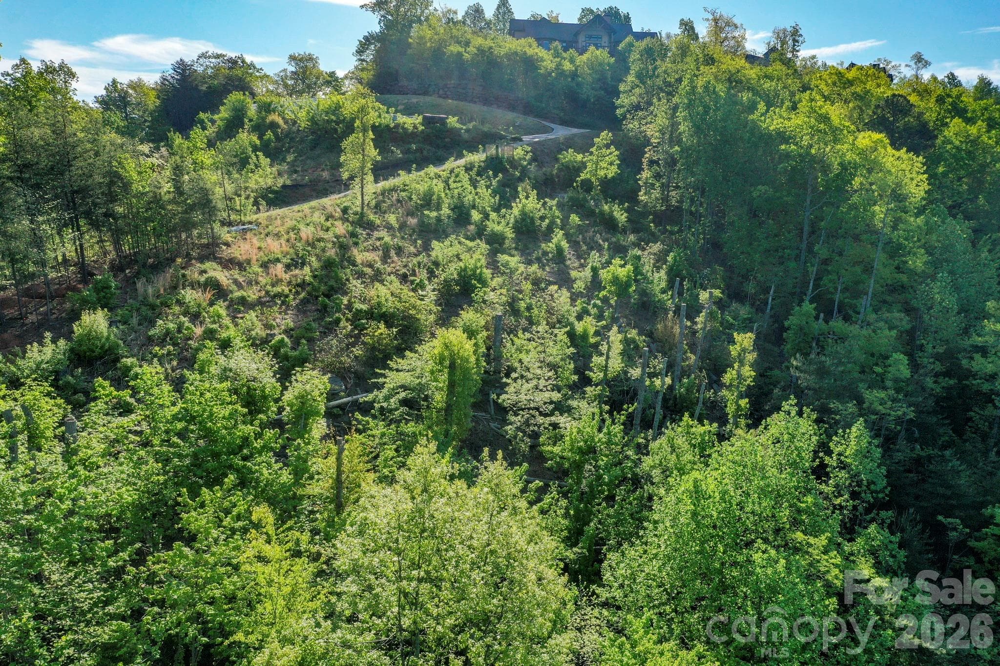 Lot at 000 Golden Ridge Drive, Lake Lure, photo 7 of 18