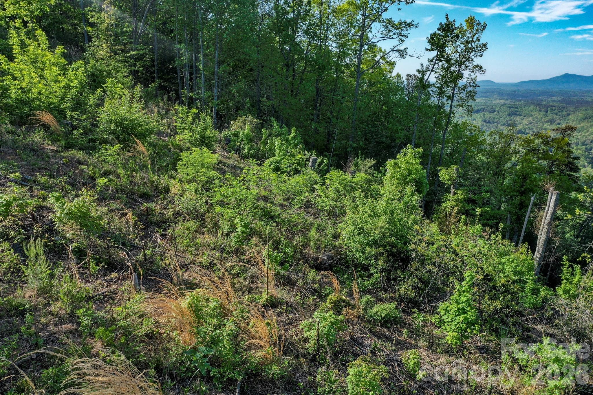 Lot at 000 Golden Ridge Drive, Lake Lure, photo 9 of 18