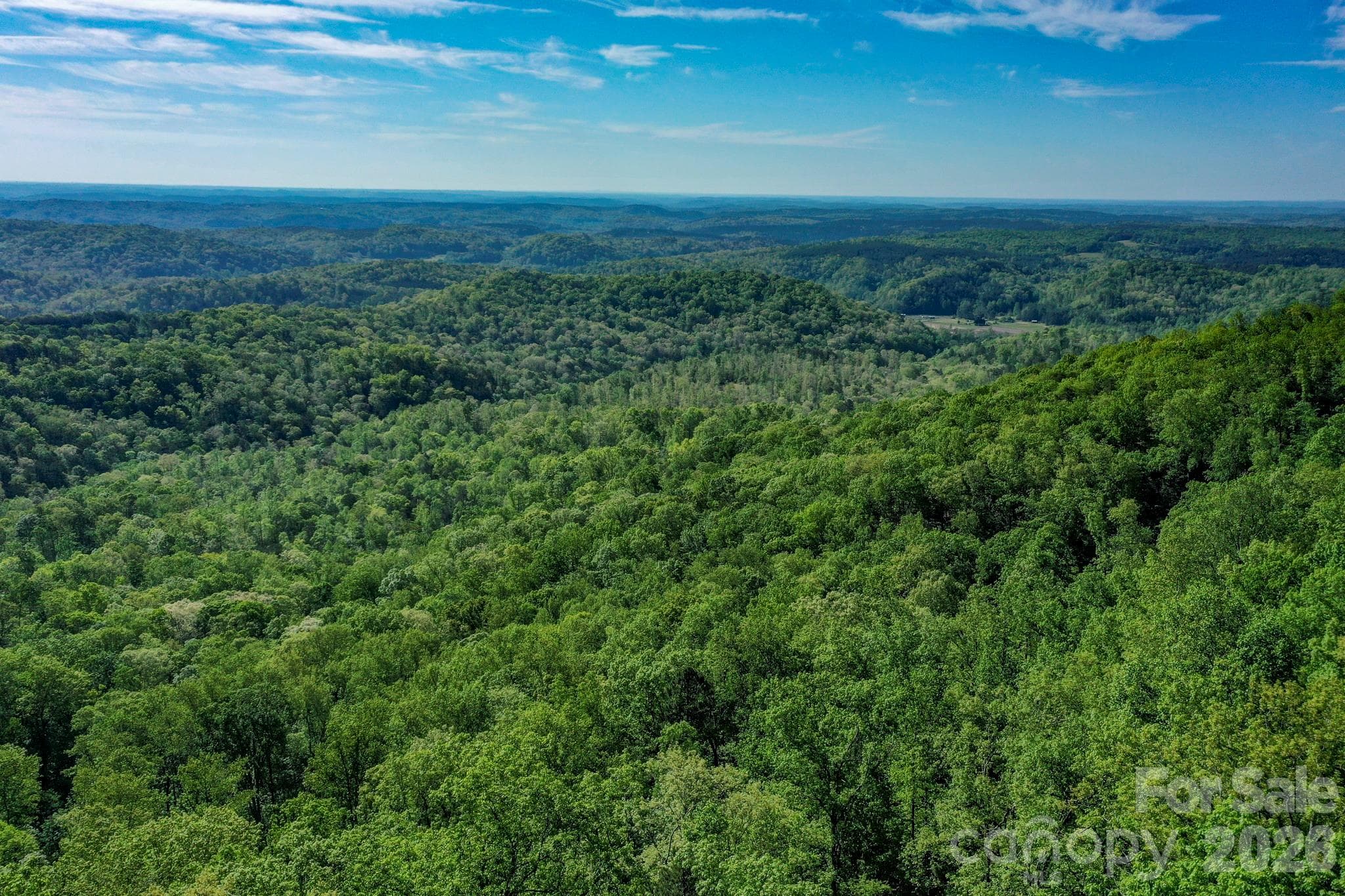 Lot at 0 Bills Mountain Trail, Lake Lure, photo 5 of 18